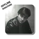Andy Lau ringtones - Offline aplikacja