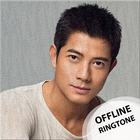 Aaron Kwok icône