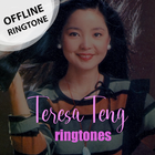 Teresa Teng Ringtone - Offline icône