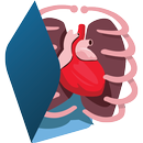 Human Body Anatomy 3D - Free APK