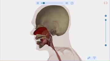 2 Schermata Human Body Anatomy 3D - Free