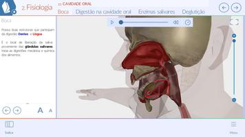 Sistemas do Corpo Humano 3D Affiche