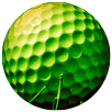 Mini Golf Arena With Your Frie APK