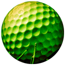Mini Golf Arena With Your Frie APK