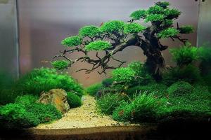 Aquascape डिजाइन का उदाहरण स्क्रीनशॉट 3