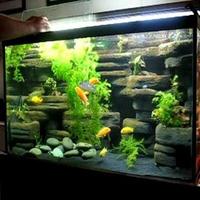 Aquascape डिजाइन का उदाहरण स्क्रीनशॉट 1