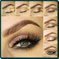 Eyebrow Tutorial