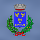 MyBisuschio-icoon
