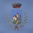 MyTrevenzuolo icon