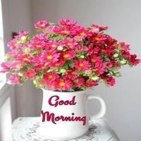 Good Morning Flowers Images Affiche