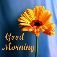 Good Morning Flowers Images Screenshot 1