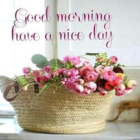 Good Morning Flowers Images Screenshot 3