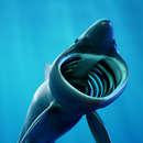 MarineXR:Ocean Education in AR APK
