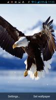 1 Schermata Eagle Live Wallpaper