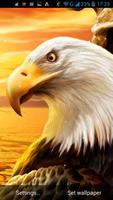 Eagle Live Wallpaper capture d'écran 2