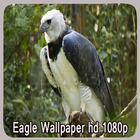 Fond d'écran Eagle 1080p icône