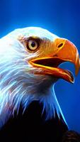 Eagle Wallpaper hd 1080p স্ক্রিনশট 1