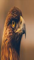 Eagle Wallpaper hd 1080p syot layar 3