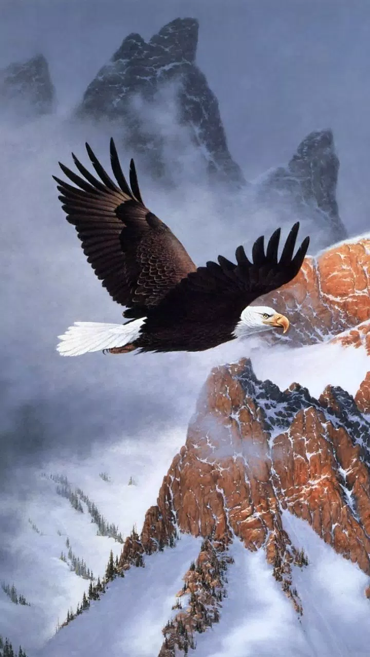 Eagle Wallpaper APK for Android Download Eagle Wallpaper APK for Android Download