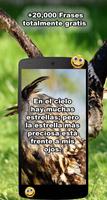 Frases para todo - eFrases स्क्रीनशॉट 2