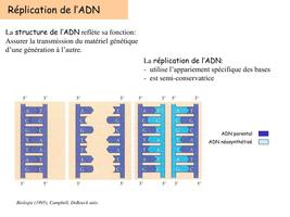 QCM Biologie screenshot 1