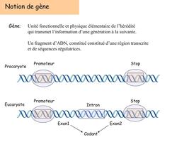 QCM Biologie 截图 2