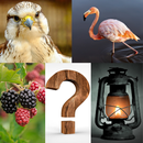Photo Word Puzzle - Picture Guessing Game aplikacja