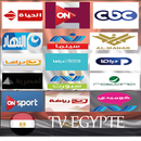 TV Egypte Chaînes directe  2019 APK