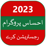 Ehsaas Program subsidy check simgesi