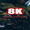 8k Wallpaper Photos icon