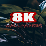 8k Wallpaper Photos APK