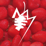 Fiesta Nacional de la Frutilla