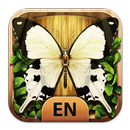 Sky Insect Buddies(English) APK