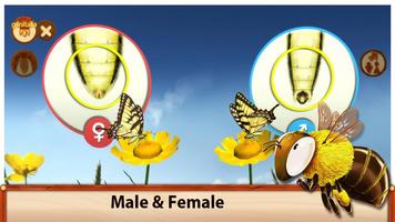 Sky Insect Buddies(FREE) 截圖 2
