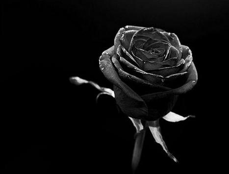 Elegante Sfondo Nero Hd For Android Apk Download Trova immagini stock hd a tema natale, capodanno sfondo elegante nero e e milioni di altre foto, illustrazioni e contenuti vettoriali stock royalty free nella vasta raccolta di shutterstock. elegante sfondo nero hd for android