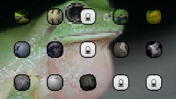 Frogs Sounds and Ringtones screenshot 1