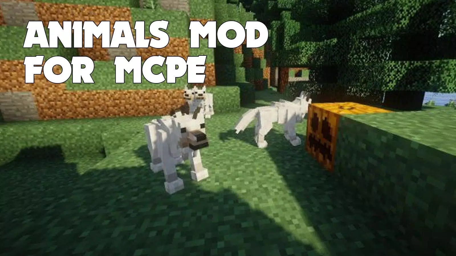 Tải xuống APK Animals Mod cho Android Tải xuống APK Animals Mod cho Android