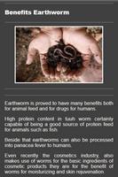 Cultivating Earthworms screenshot 3