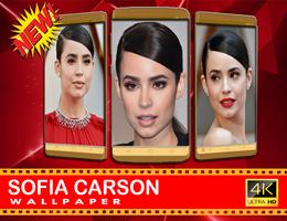 Sofia Carrso Wallpapers 2020 Screenshot 2