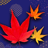 紅葉で神経衰弱：脳トレになる！ アイコン