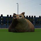 Pablo Cat Race Game icon