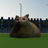 Pablo Cat Race Game biểu tượng