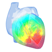 Epicardio Heart Simulator APK