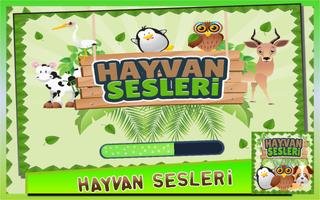 Hayvan Sesleri poster