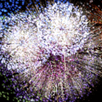 Cohetes APK