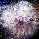 Cohetes APK