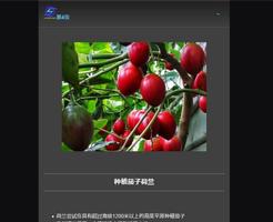 ফুল বেগুন চাষ স্ক্রিনশট 1