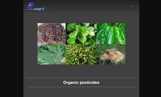 ফুল বেগুন চাষ স্ক্রিনশট 3
