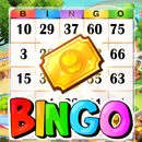 Bingo Fun: Offline Bingo Games APK