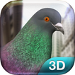 Pigeon Simulator